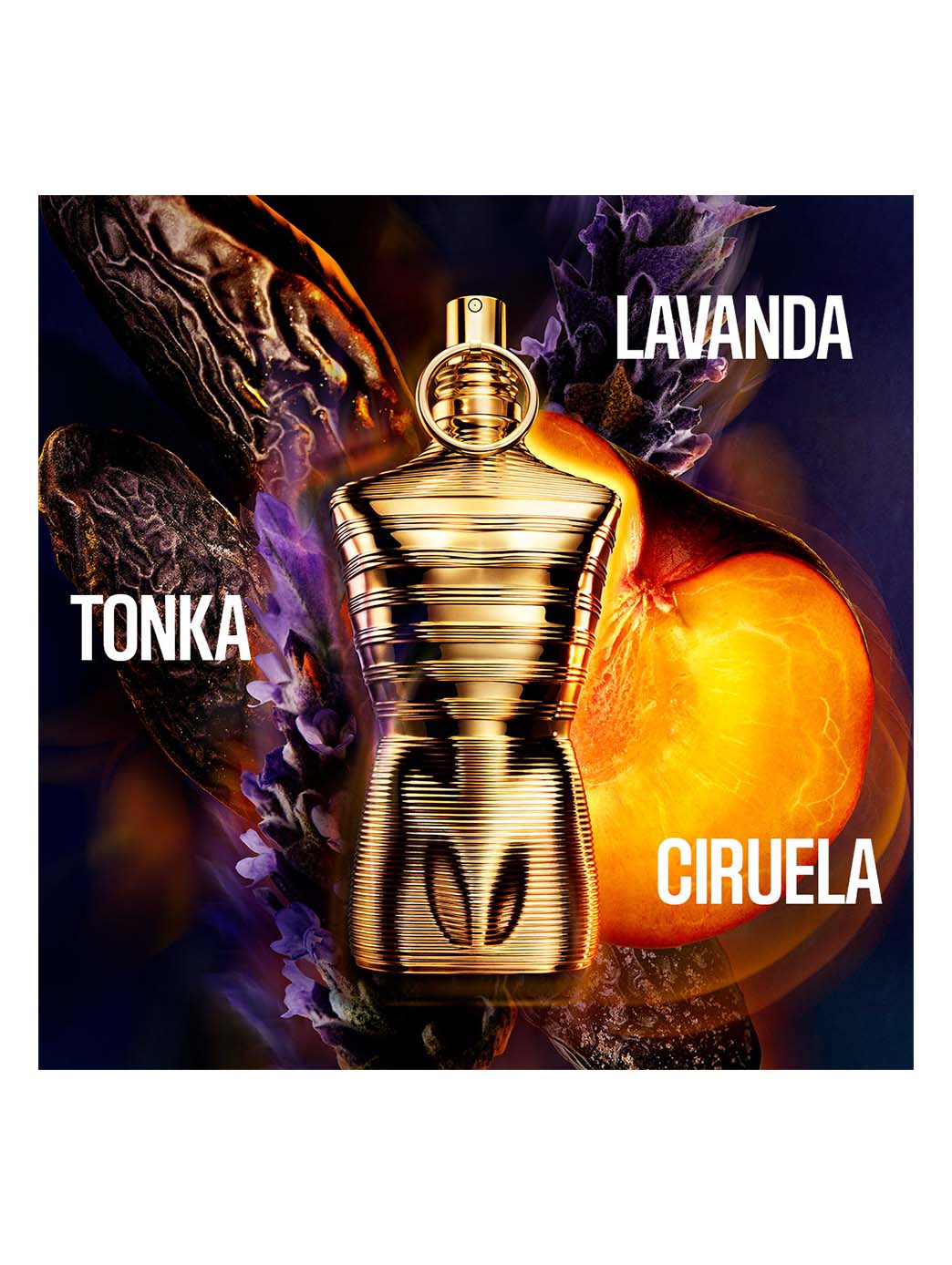 Miniatura 9