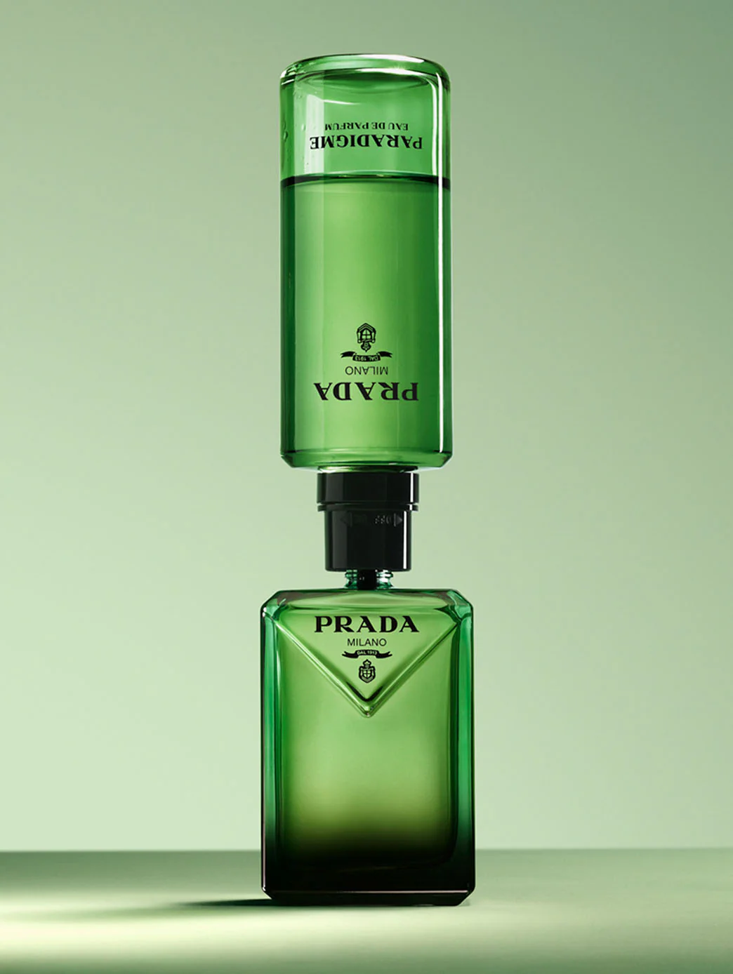 Miniatura 8